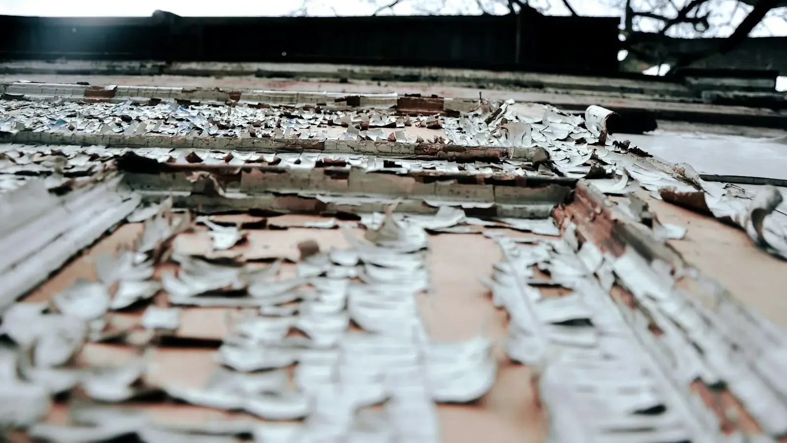 Metal Roofing